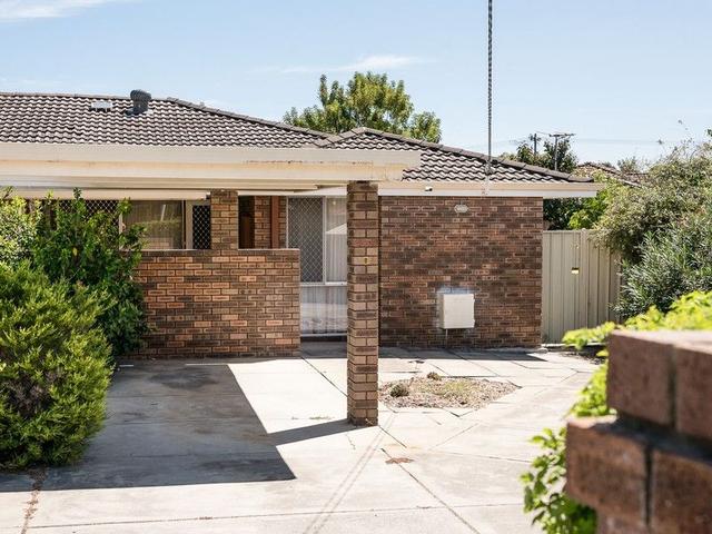 145b Rostrata Avenue, WA 6155