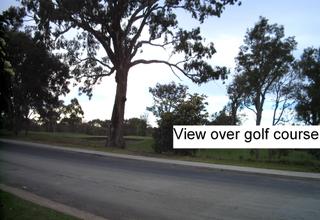 View (2008-07-14)
