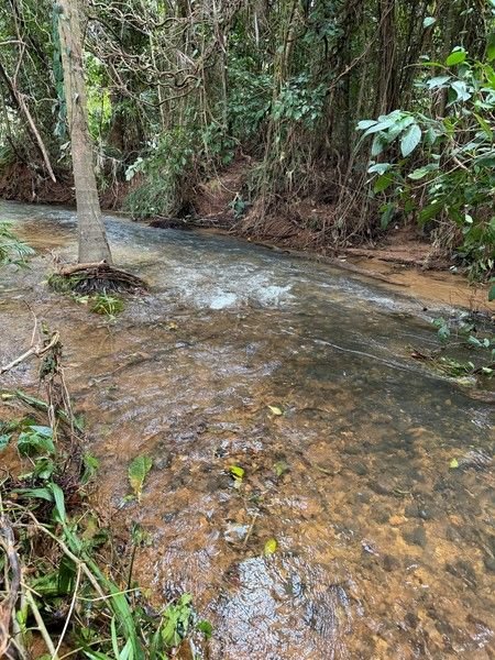 16 Royal Palm Dr, QLD 4852