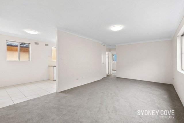 20 Blenheim St, NSW 2031