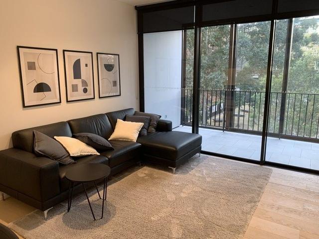 202/8 Central Park Ave, NSW 2008