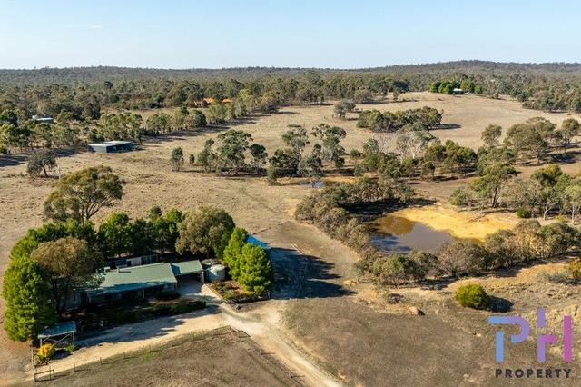 19 Trent Court, VIC 3551