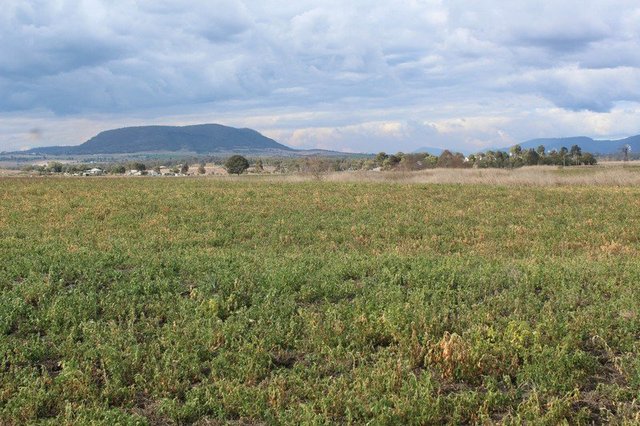 3 Briggs Road, QLD 4370