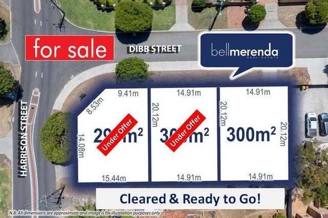 4 Dibb Street, WA 6021