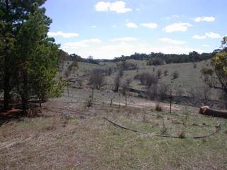 Land (2004-09-27)