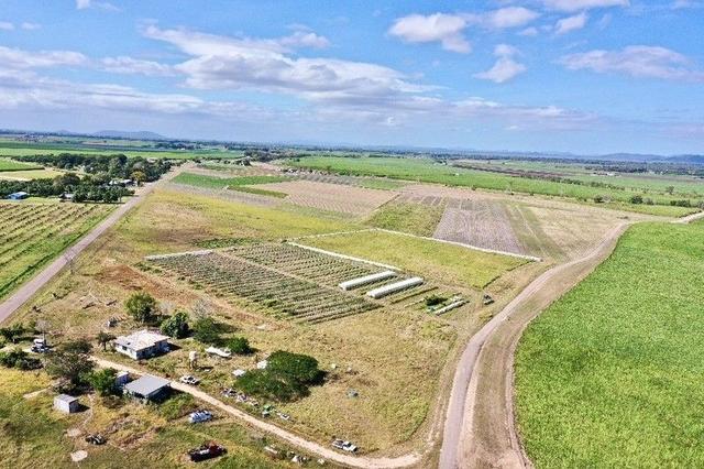 294 Mountainview Road, QLD 4807