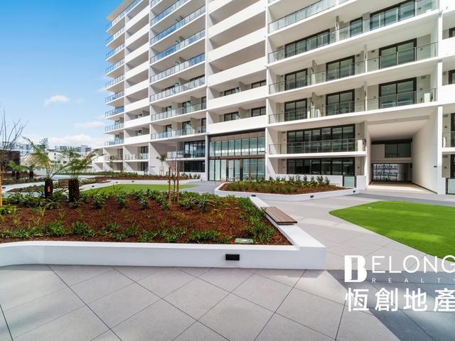S1004/6 Galloway Street, NSW 2020