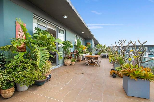 2605/43-45 Wilson Street, NSW 2019