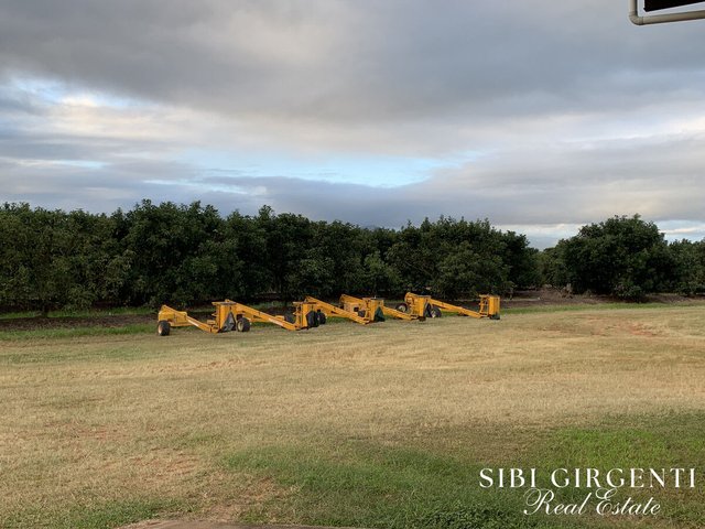 1611 Mareeba-Dimbulah, QLD 4880