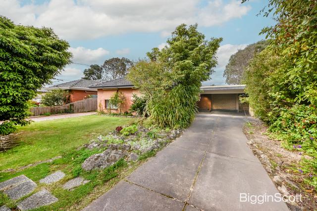 14 Muir Street, VIC 3149