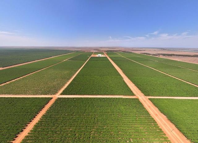 1251 Stanitzki Road, SA 5340