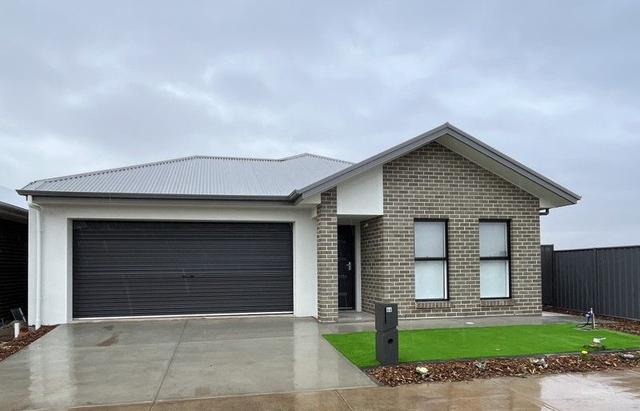 66 Correa Street, SA 5115