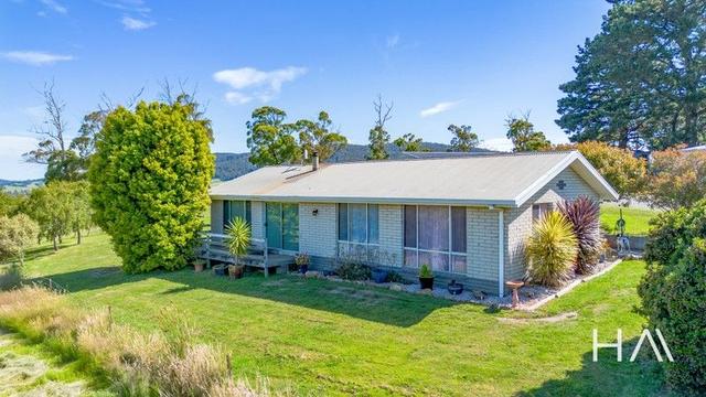 17 The Glen Road, TAS 7252