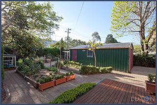 Backyard (2014-11-07)