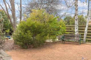 Back yard (2019-11-11)