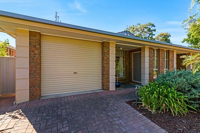 16 Morianne Avenue, SA 5041