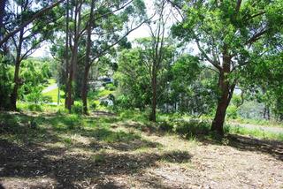 The Land & the Lake (2011-02-10)