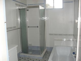 Bathroom (2011-01-07)