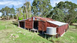 Old Shearing Shed