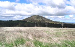 Main Photo (2010-05-08)