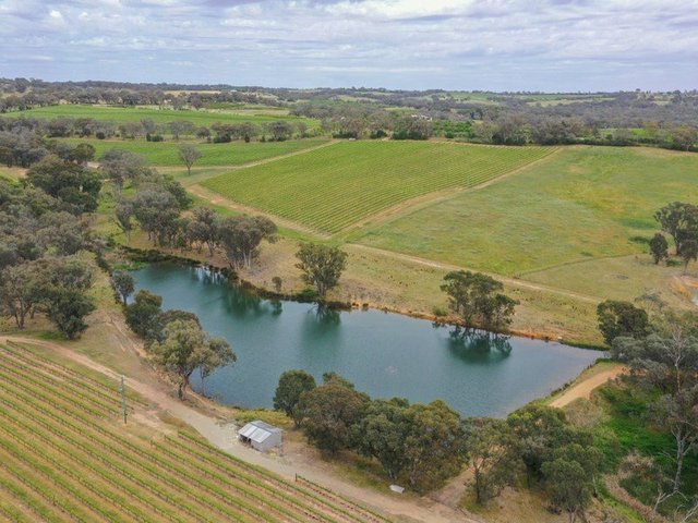 155 Tierneys Road, NSW 2594