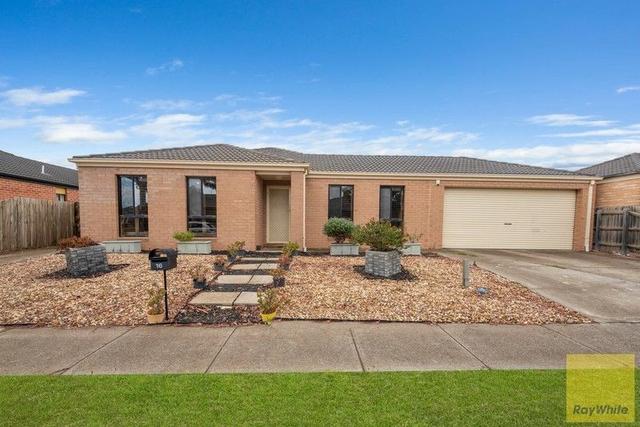 16 Stable Drive, VIC 3029