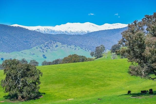 Lot 1 Murray Valley Highway, VIC 3707