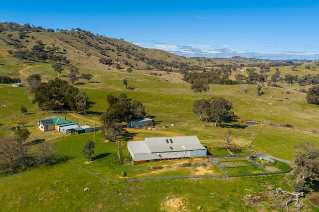 334 Lucky Swamp Road, NSW 2583
