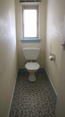 toilet (2014-10-10)