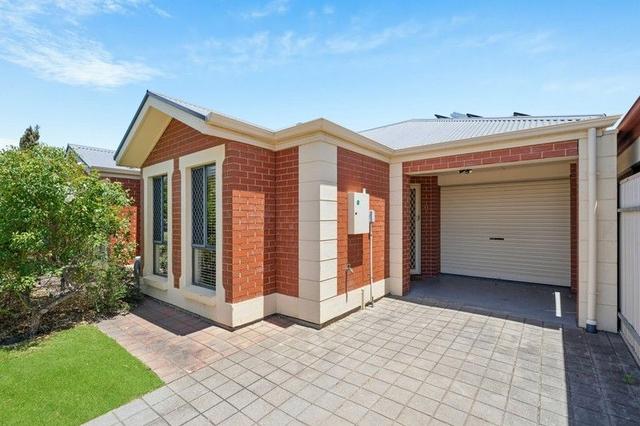 8 Daisy  Avenue, SA 5043