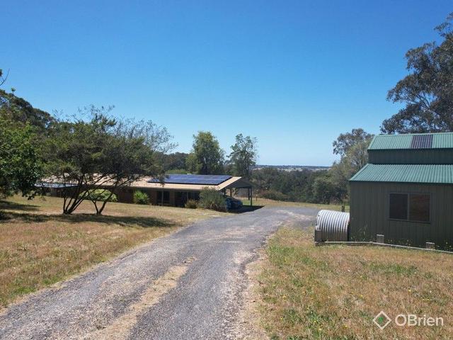 20 Holes Road, VIC 3875