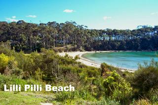 looking north along beach