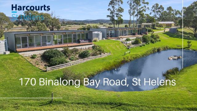 170 Binalong Bay Road, TAS 7216