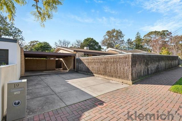 19 Chisholm Avenue, SA 5066