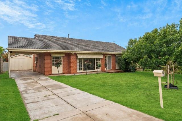 25 Knightsbridge Avenue, SA 5093
