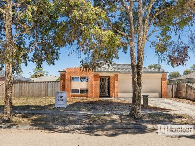 20 Coast Avenue, VIC 3880