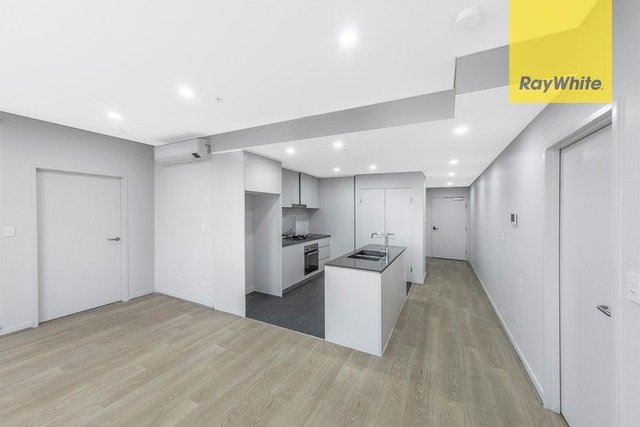 314/20 Dressler Court, NSW 2160