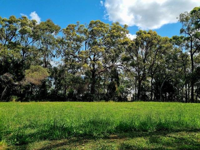 13 Cliff Tce, QLD 4184
