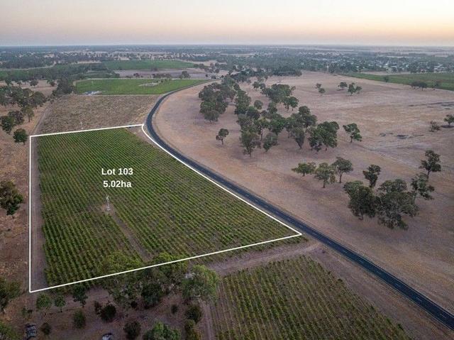 Lot 103 Dergholm Road, SA 5277