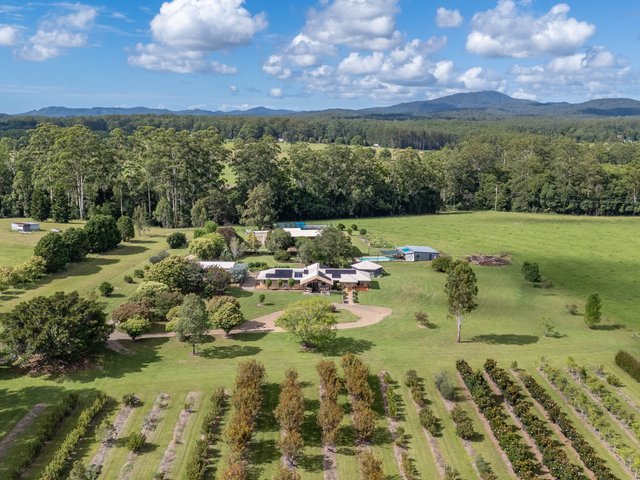 190D McClellands Road, NSW 2450