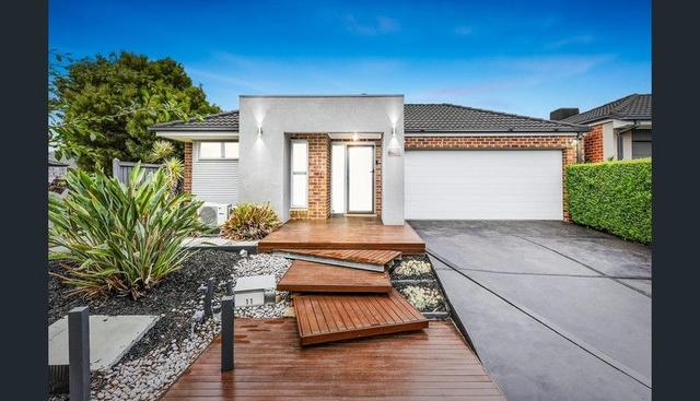 11 Bluemist Circuit, VIC 3975