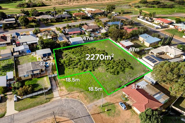 31 Devenish Street, WA 6530