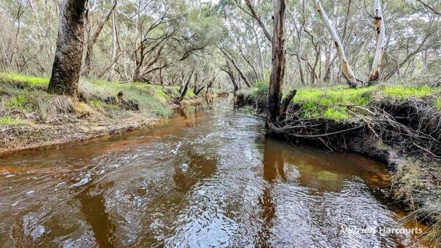 Lot 10 Woodbine Road, WA 6507