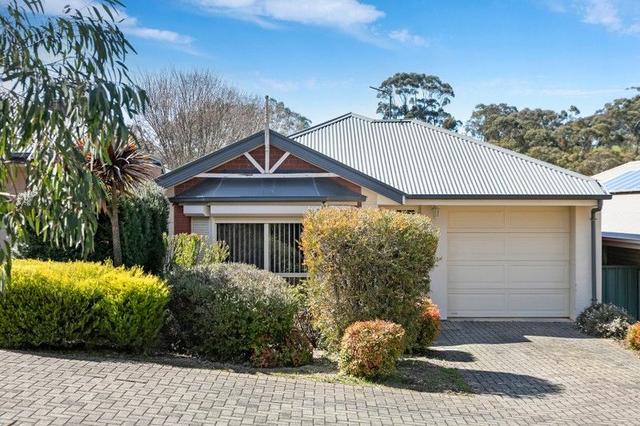 3/8 Barnard Street, SA 5453