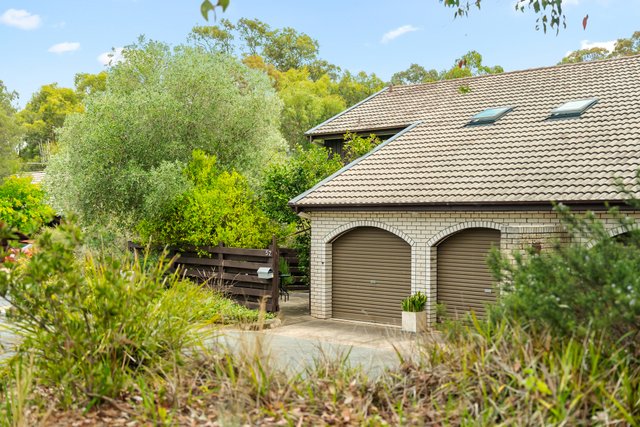 52 Dexter Street, ACT 2614