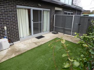 Backyard (2018-10-15)