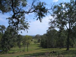 Land (2007-01-24)