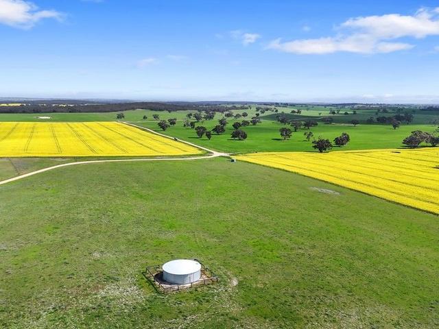 559 Old Stone Tank Road, SA 5270