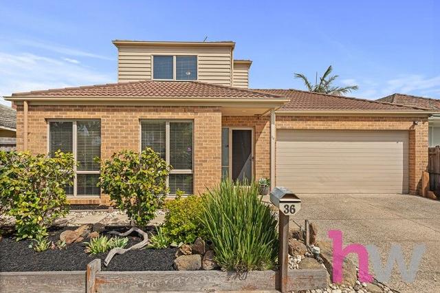 36 Cosgrove Street, VIC 3219
