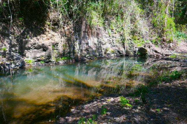 Lot 8 O'Donnell Creek Road, NSW 2474